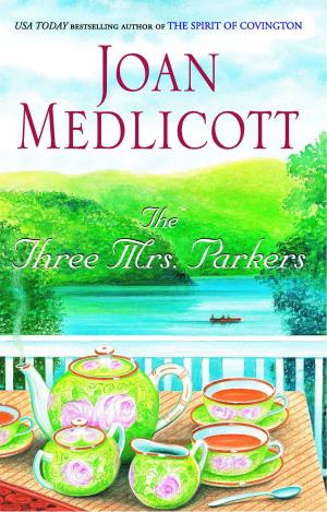 Book cover of The Three Mrs. Parkers