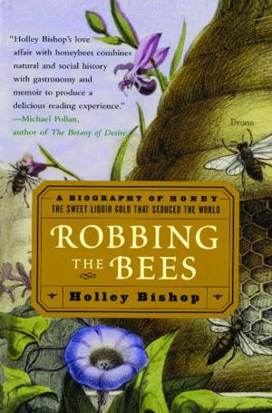 Cover of the book Robbing the Bees by Sara Shepard