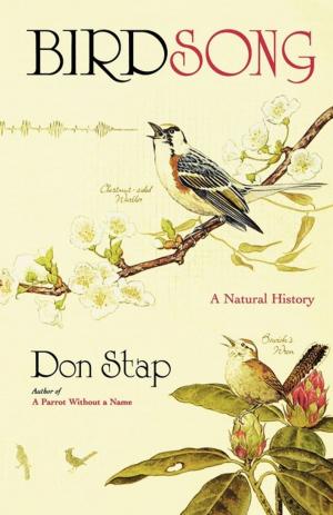 Cover of the book Birdsong by Anne Holt