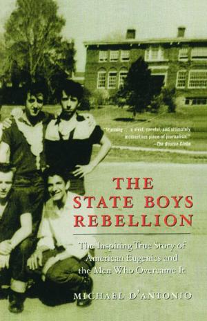 Cover of the book The State Boys Rebellion by Nancy Woodruff
