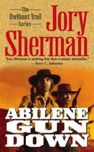 Cover of the book Abilene Gun Down by Patrick A. Davis