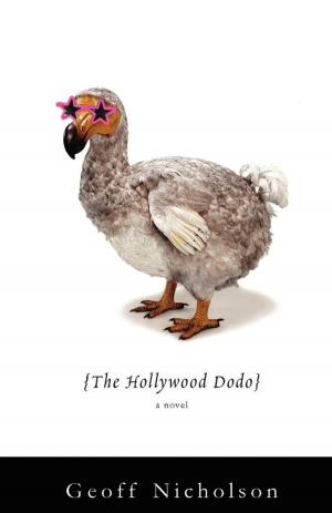Book cover of The Hollywood Dodo