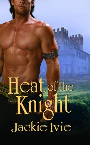 Cover of the book Heat Of The Knight by David George Richards