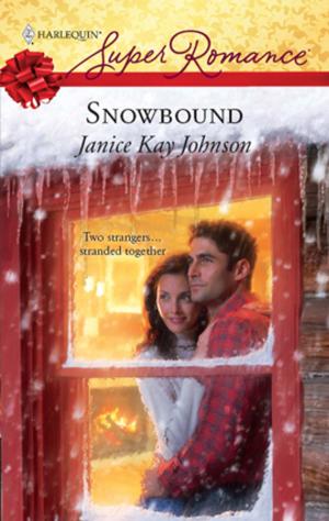 Cover of the book Snowbound by Brenda Novak