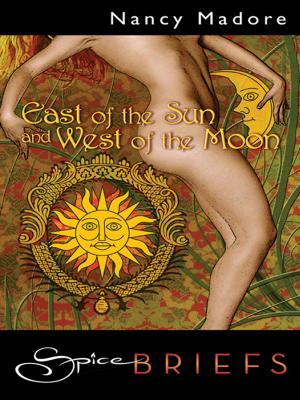 Cover of the book East of the Sun and West of the Moon by Cynnara Tregarth