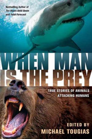 Cover of the book When Man is the Prey by Donna Grant