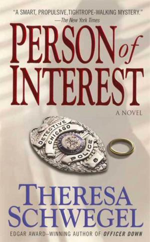 Cover of the book Person of Interest by Alex Rutherford