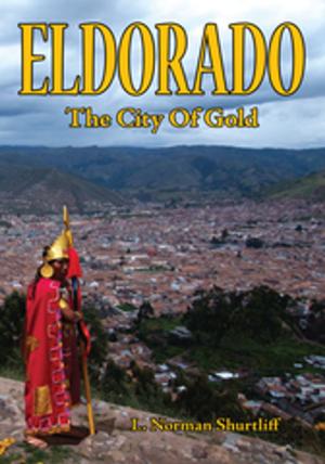 Cover of the book Eldorado by Ronald von Freymann