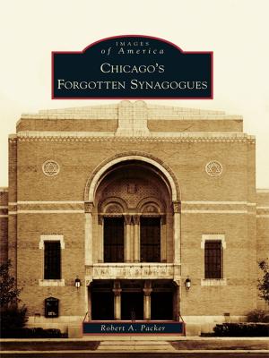 Book cover of Chicago's Forgotten Synagogues