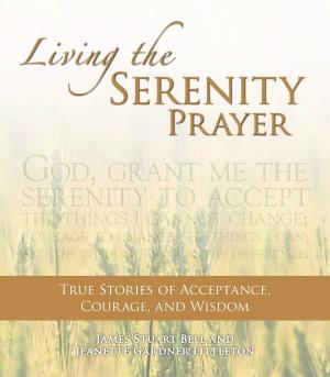 Cover of the book Living the Serenity Prayer by Elle Doright
