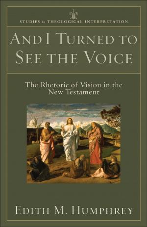 Cover of the book And I Turned to See the Voice (Studies in Theological Interpretation) by Hans Boersma