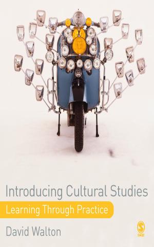 Cover of the book Introducing Cultural Studies by Christine Deftereos