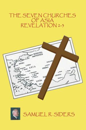 Cover of the book The Seven Churches of Asia/ Revelation 2-3 by Calvin L. McCullough Sr.