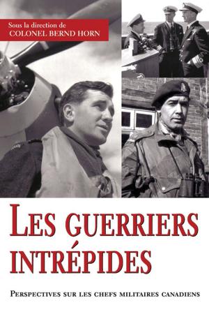 Cover of the book Les guerriers intrépides by Julian Novitz