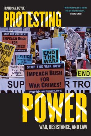 Cover of the book Protesting Power by Marilyn E. Phelan