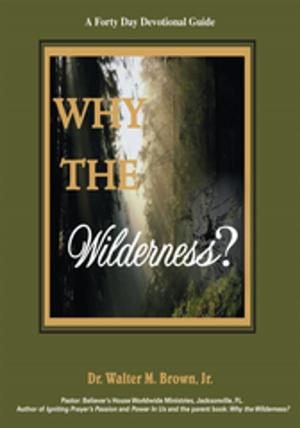 Cover of the book Why the Wilderness: a Forty Day Devotional Guide by Lowell R. Torres