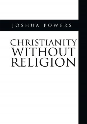 Cover of the book Christianity Without Religion by Sheldine Altidor