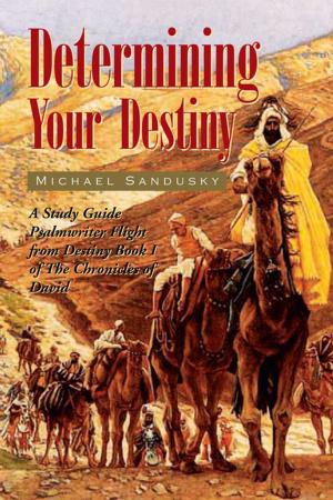 Cover of the book Determining Your Destiny by A. Shahid Stover