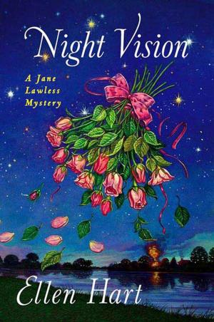 Cover of the book Night Vision by Jessica Fellowes