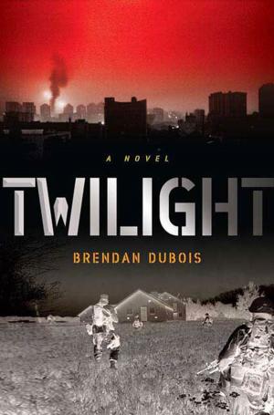 Cover of the book Twilight by David Hasselhoff, Peter Thompson