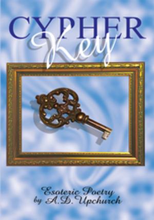 Cover of the book Cypher Key by David D. Holt