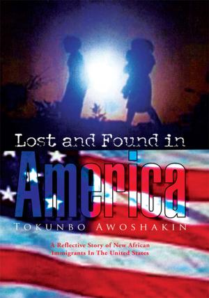 Cover of the book Lost and Found in America by Cynthia Kuespert