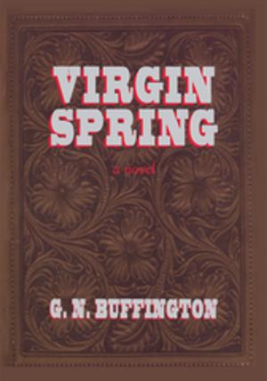Cover of the book Virgin Spring by Elizabeth Chanter