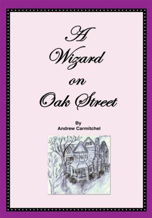 Cover of the book A Wizard on Oak Street by Philip Willan
