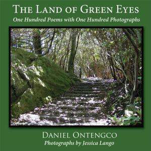 Cover of the book The Land of Green Eyes by Jac'Quail Mayes