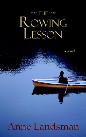 Cover of the book The Rowing Lesson by Stuart Neville