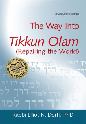 Book cover of The Way Into Tikkun Olam (Repairing the World)