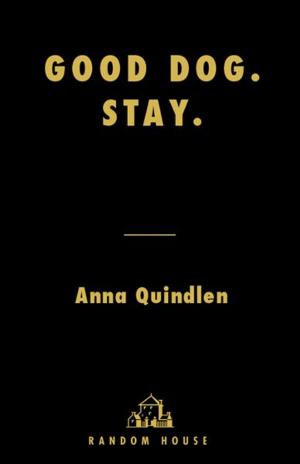 Cover of the book Good Dog. Stay. by Karen Leabo