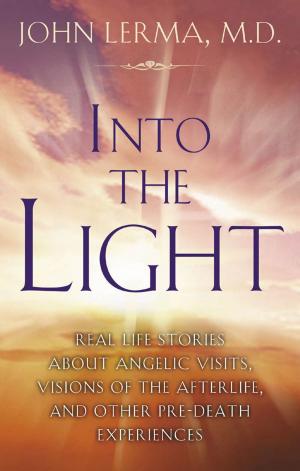 Cover of the book Into the Light by Mary Beth Sammons