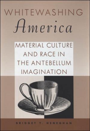 Cover of the book Whitewashing America by Jarret Ruminski
