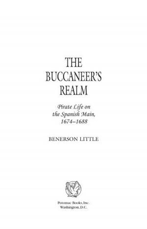 Cover of the book The Buccaneer's Realm by YANIV BARZILAI