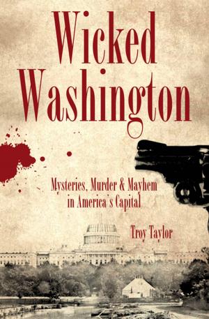 Cover of the book Wicked Washington by David Dawson