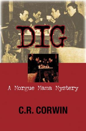 Cover of the book Dig by D.E. Stevenson