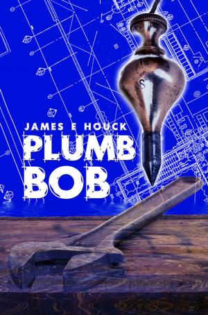 Cover of the book Plumb Bob by Roberts, Phillip