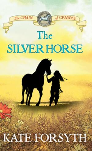Cover of the book The Silver Horse: Chain of Charms 2 by Maggie Groff