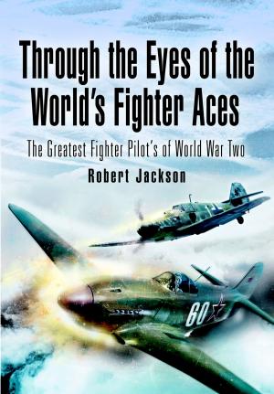 Book cover of Through the Eyes of the Worlds Fighter Aces