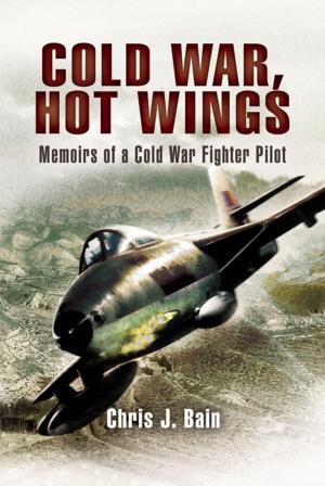 Cover of the book Cold War, Hot Wings by Paul  McCue
