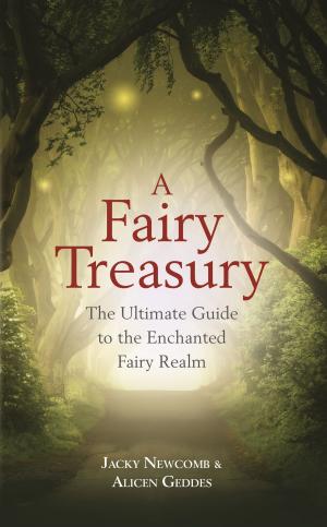 Cover of the book A Fairy Treasury by Darren R. Weissman, Dr.