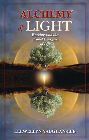 Cover of the book Alchemy of Light by Rob Godfrey