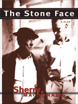 Cover of the book The Stone Face by Teresa McWhirter