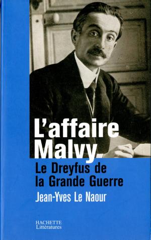 Cover of L'affaire Malvy