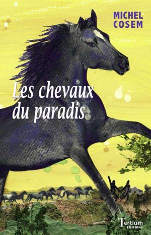 Cover of the book Les chevaux du paradis by Stéphane Méliade