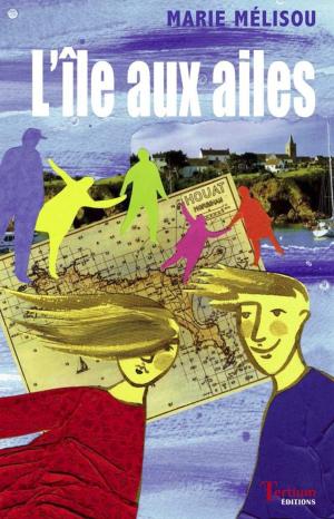 Cover of the book L'île aux ailes by J. A. Parrish