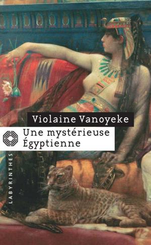 Cover of the book Une mystérieuse Égyptienne by François Rivière