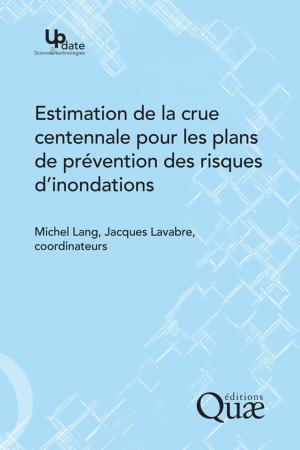 Cover of the book Estimation de la crue centennale pour les plans de prévention des risques d'inondations by S. Nibouche