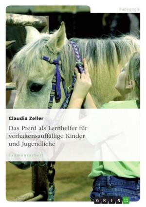 Book cover of Das Pferd als Lernhelfer für verhaltensauffällige Kinder und Jugendliche